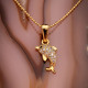 Zircon Taşlı Gold Renk Yunus Kolye