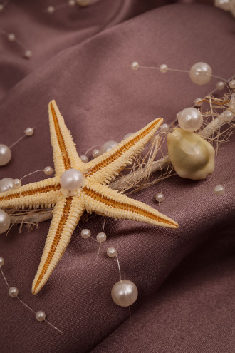 Deniz Yıldızı Incili Yeni Doğum-Lohusa-Gelin-Nikah Taç