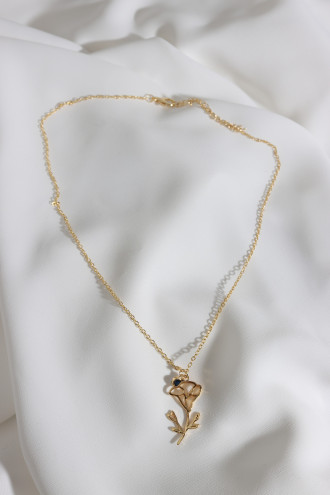 Doğum Çiçeği Gündüzsefası Eylül Doğum Çiçeği Gündüzsefası Eylül