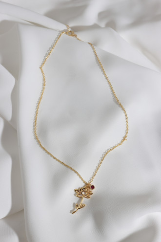 Doğum Çiçeği Nilüfer Temmuz Doğum Çiçeği Nilüfer Temmuz