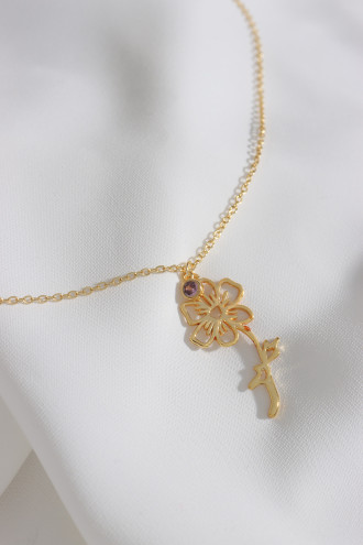 Doğum Çiçeği Cosmos Ekim