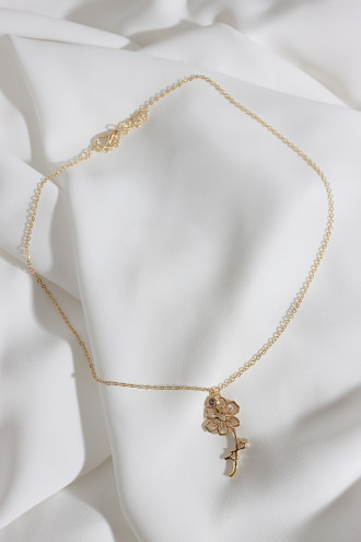 Doğum Çiçeği Cosmos Ekim Doğum Çiçeği Cosmos Ekim