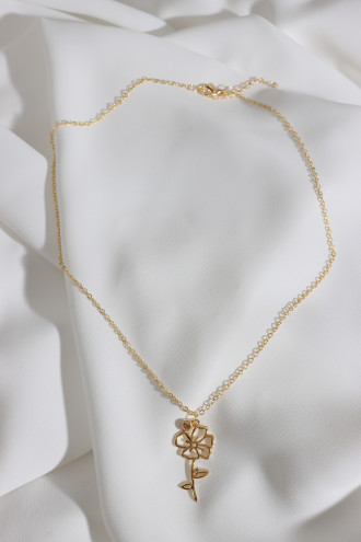 Doğum Çiçeği Gelincik Ağustos Doğum Çiçeği Gelincik Ağustos