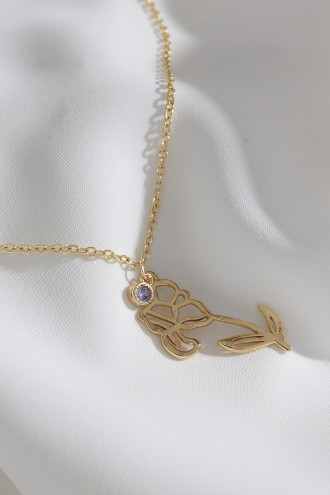 Doğum Çiçeği Süsen Şubat