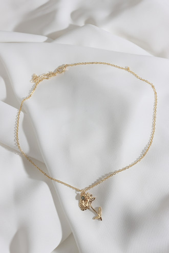 Doğum Çiçeği Kasımpatı Kasım Doğum Çiçeği Kasımpatı Kasım