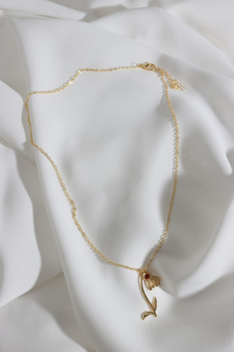 Doğum Çiçeği Kardelen Ocak Doğum Çiçeği Kardelen Ocak