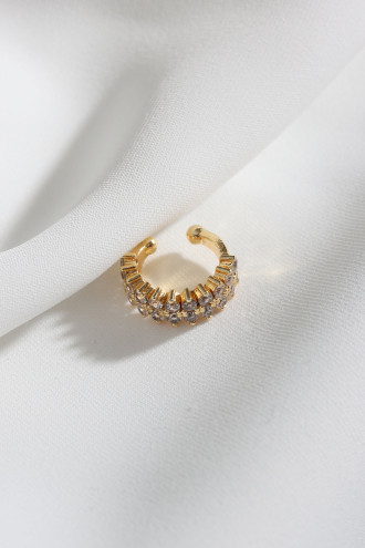 Iki Sıralı Taşlı Tek Sıkıştırmalı Gold Renk Kıkırdak Küpe