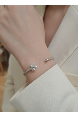 Silver Renk Ayarlanabilir Dövme Kelepçeli Doğum Ayı Çiçeği Bilezik (mart) Silver Renk Ayarlanabilir Dövme Kelepçeli Doğum Ayı Çiçeği Bilezik (mart)