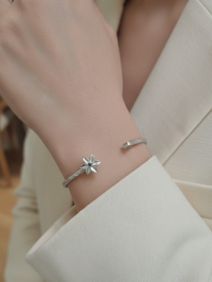 Silver Renk Ayarlanabilir Dövme Kelepçeli Doğum Ayı Çiçeği Bilezik (mart) Silver Renk Ayarlanabilir Dövme Kelepçeli Doğum Ayı Çiçeği Bilezik (mart)