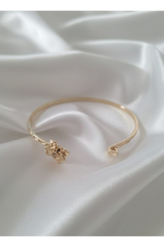 Gold Renk Ayarlanabilir Dövme Kelepçeli Doğum Ayı Çiçeği Bilezik (Ocak) Gold Renk Ayarlanabilir Dövme Kelepçeli Doğum Ayı Çiçeği Bilezik (Ocak)